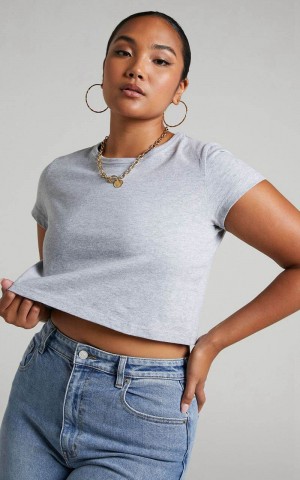 Showpo Danzel Top - Boxy Fit Cap Sleeve Crop Top Grey | KAOUDT563