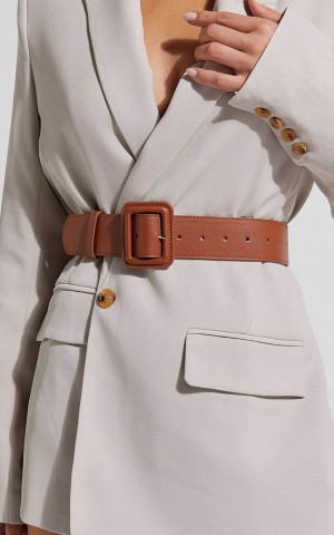 Showpo Kaitlin Belt - Buckle Belt Tan | ZNDVSF657