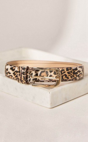 Showpo Leah Belt - Thin Gold Buckle Pu Leopard Print Belt Brown | TPQOBK984