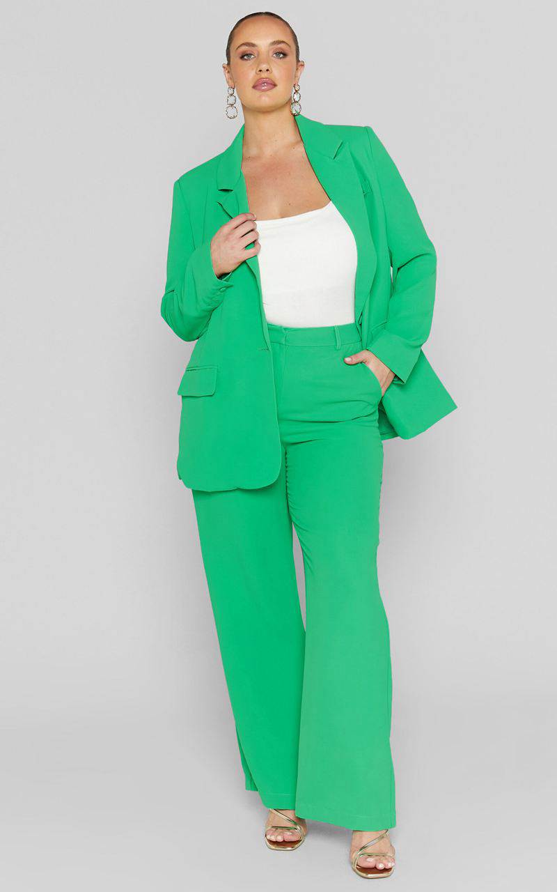 Showpo Bonnie Pants - High Waisted Tailored Wide Leg Pants Green | OQEMBT217